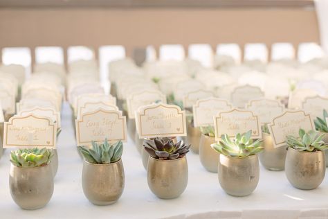 Flower Place Cards, Succulent Table, Backyard Wedding Decorations, Table Number Place Cards, Party Seating, Table Seating Chart, Beach Table, Reception Seating, Succulent Wedding