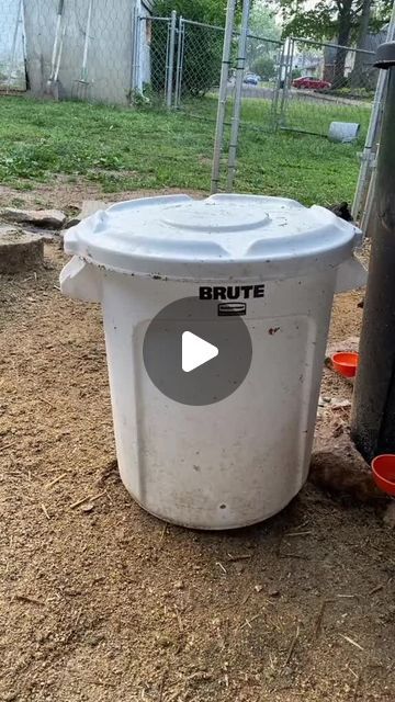 Chicken Coop Water Ideas, Diy Chicken Waterer, Chicken Waterer Diy, Chicken Waterer, Greenhouse Garden, Homesteading Diy, Chicken Life, Chicken Feeder, Water Container