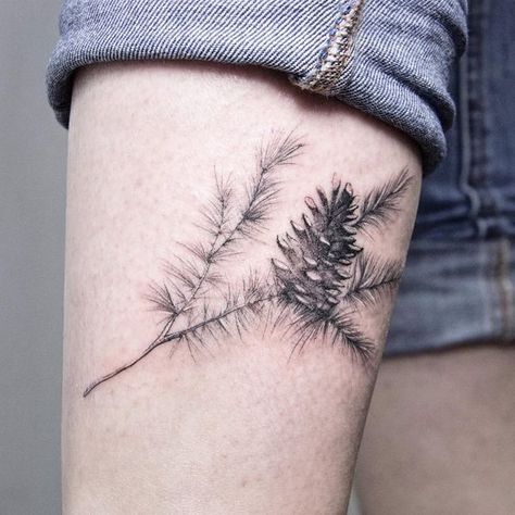 Pine Tree Quotes, Tree Tattoo Color, Tree Tattoo Ideas, Pine Tattoo, Tree Branch Tattoo, Tattoo Tree, Family Tree Tattoo, Tree Quotes, Pine Tree Tattoo