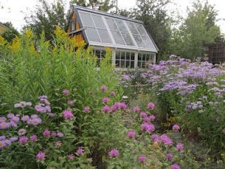 Gardening with native perennial flowers, a bit more research ahead of time, but what a wonderful garden it will be. Native Plant Landscape, Outdoor Space Design, Garden Bugs, Native Plant Gardening, Green Houses, Garden Rooms, Garden Sheds, Wildlife Gardening, Tree Houses