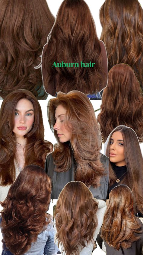 deep reddish brown hair colour, hints of orange Long Curly Auburn Hair, Soft Auburn Hair, Soft Auburn Hair Color, Rich Auburn Hair Color, Dark Brown Auburn Hair, Auburn Highlights In Brown Hair, Brown With Auburn Highlights, Auburn Hair Colour, Auburn Curly Hair