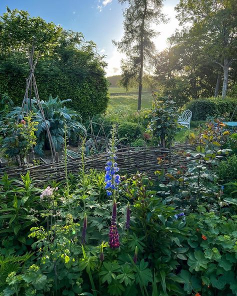 Duncan Campbell 🌴 on Instagram: “Mid-May magic ✨” Duncan Campbell, May 20, On Instagram, Instagram