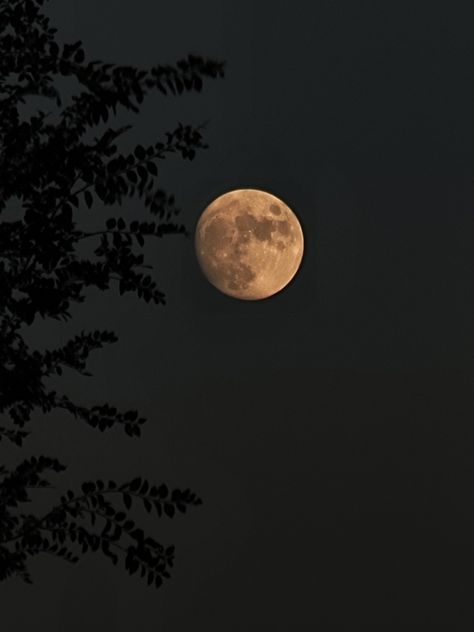 Moon Aesthetic Pictures, Moon Morning, Full Moon Photography, Moonlight Photography, Best Nature Wallpapers, Moon Aesthetic, Luna Moon, The Moon Is Beautiful, Look At The Moon