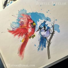 Watercolor Bluejay Tattoo, Red And Blue Bird Tattoo, Cardinal Blue Jay Tattoo, Bluebird And Cardinal Tattoo, Blue Jay Cardinal Tattoo, Cardinal Watercolor Tattoo, Bluejay And Cardinal Tattoo, Blue Jay And Cardinal Tattoo, Cardinal And Blue Jay Tattoo