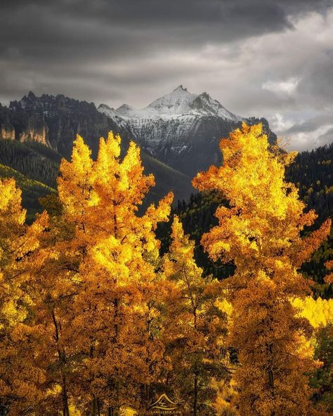 Colorado Mountains Fall, San Juan Mountains Colorado, Salida Colorado, Mountains Colorado, San Juan Mountains, Colorado Mountains, Photography Workshops, Timeline Photos, Our World