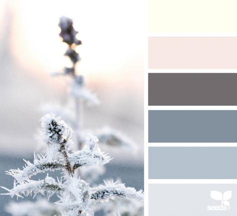 Arctic Frost | design seeds | Bloglovin’ Winter Solstice Color Palette, Arctic Color Palette, Design Seeds Color Palette, Seeds Color Palette, Tap Truck, Colours Palette, Seeds Color, Drawing Desk, Fresh Color Palette