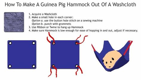 Diy Guinea Pig Toys, Guinea Pig Diy, Cage Hamster, Hamster Diy, Guinea Pig Accessories, Pig Toys, Guinea Pig House, Guinea Pig Bedding, Pet Guinea Pigs