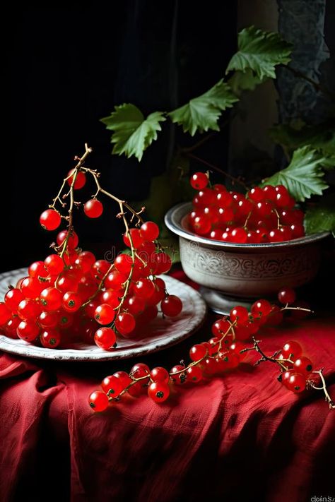 Sprigs of red currant in a white bowl closeup. Sweet red currant spilling out from the bowl. Currant organic berries royalty free stock photos Vector Poster, Red Currant, White Bowl, Fresh Summer, White Bowls, Red Aesthetic, Agriculture, Free Stock Photos, Close Up