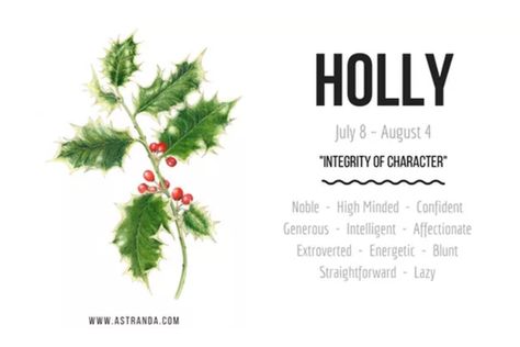 Celtic Tree Astrology - Holly Holly Tree Tattoo, Witch Playlist, Fun Symbols, Chaos Witch, Yule Ideas, Celtic Tree Astrology, Celtic Ogham, Enchanted Tree, Male Witch