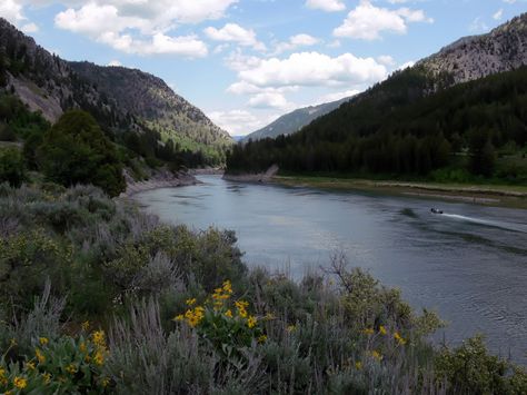 Just a glance at where my parents are moving to :) Alpine Wyoming, Snake River Canyon, Wyoming Vacation, Wyoming Travel, River Canyon, Winter Beach, Three Rivers, The Snake, Yellowstone National Park