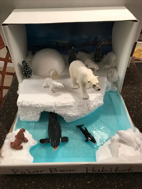 Bear Habitat Project, Polar Diorama, Animal Habitat Project, Polar Habitat, Arctic Animals Printables, Polar Bear Habitat, Habitat Project, Science Project Models, Arctic Habitat