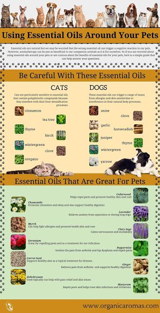 Essential Oils Cats, Essential Oils For Pets, Essential Oils For Dogs, Essential Oils Dogs, Săpunuri Handmade, Endocannabinoid System, Oils For Dogs, Essential Oil Diffuser Blends, Using Essential Oils