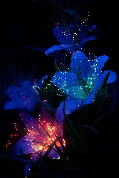 Virtual Reality Art, Periwinkle Flowers, Glowing Flowers, Urban Design Graphics, List Of Flowers, Color Aesthetic, Scenery Photography, Dark Flowers, Abstract Iphone Wallpaper