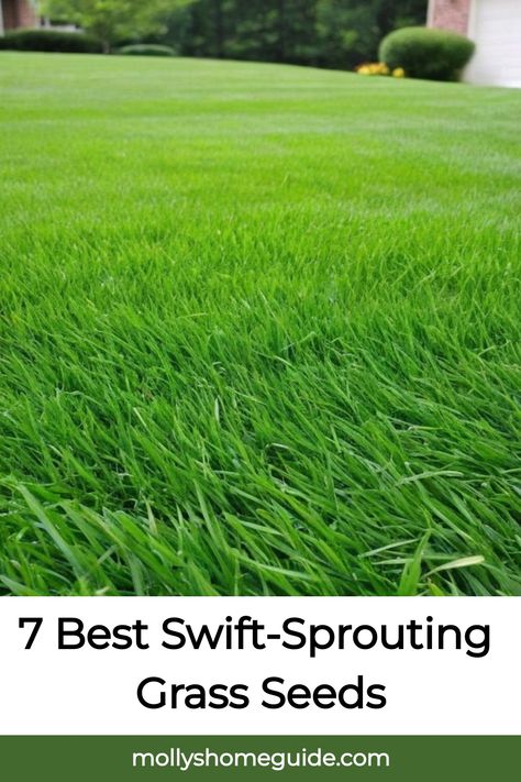 Discover the best fast growing grass seed varieties to achieve a lush, green lawn in no time. Whether you're looking for resilience, quick growth, or easy maintenance, these top picks have got you covered. Say goodbye to bare patches and hello to a vibrant garden oasis with the best fast growing grass seed options available. Your dream lawn is just a seed away! Zoysia Grass, Tall Fescue, Grass Plants, Bermuda Grass, Growing Grass, Lush Lawn, Fast Growing Plants, Grass Seed, Garden Oasis