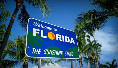 Florida Camping, Living Trust, Florida State Parks, Florida City, Moving To Florida, Florida Living, Visit Florida, Life Insurance Policy, Florida State University