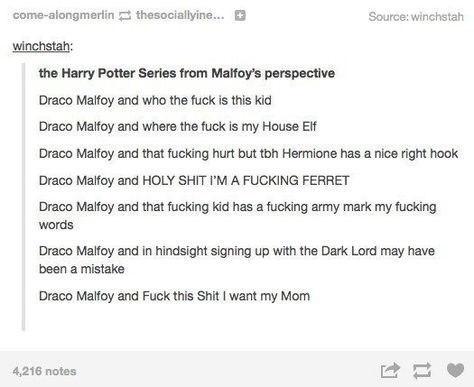 This person who reimagined Harry Potter from Malfoy's point of view. Funny References, Exo Meme, About Harry Potter, Amazing Books, Harry Potter Tumblr, Dark Arts, Harry Potter Jokes, Harry Potter Marauders, Harry Potter Obsession