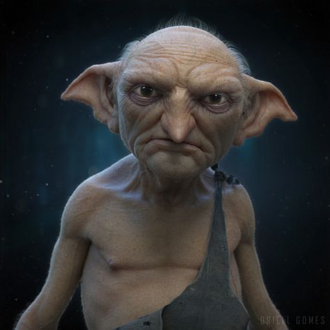 ArtStation - The House Elf , Driell Gomes Harry Potter House Elf, Elf Minecraft, House Elf Harry Potter, Elf Faces, Power Imbalance, Harry Potter Elf, Creature Anatomy, Harry Potter Rpg, Harry Potter Castle