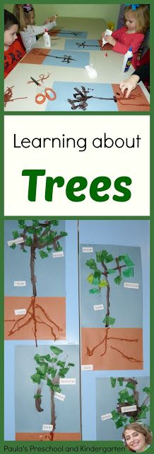 Learning about trees (and more!) for the letter T Tree Unit Study, Letter T Activities, Tree Unit, About Trees, The Letter T, Tree Study, Theme Nature, Fall Preschool, Creative Curriculum