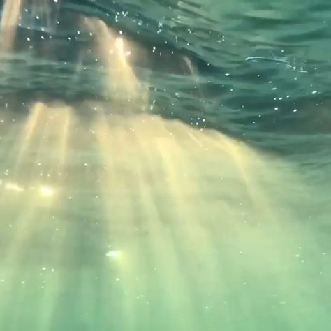 Ocean Lovers | Marine Life on Instagram: “There is something so tranquil about the sun’s rays shining through the surface of the ocean 🌊 Beautiful clip by @ryanpernofski 🎥🙌😍 🎶:…” Green Pastures, Water Aesthetic, Mermaid Aesthetic, Images Esthétiques, Alam Yang Indah, Alam Semula Jadi, Nature Aesthetic, Pretty Places, Green Aesthetic