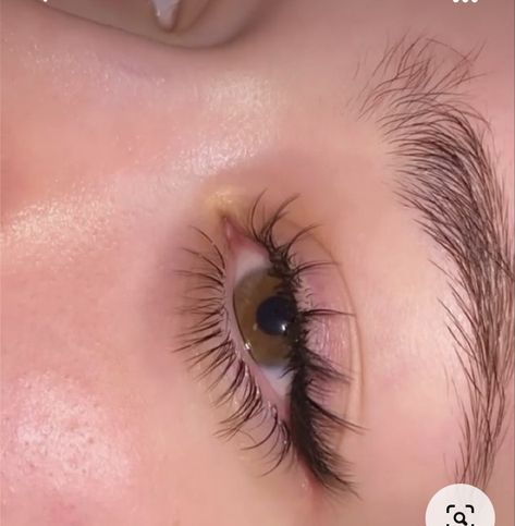 Perfect Eyelashes Natural, Long Eyelashes Naturally Aesthetic, Long Natural Eyelashes, Natural Fake Eyelashes, Manga Lashes, Maquillage On Fleek, Perfect Eyelashes, Pretty Lashes, Natural Eyelash Extensions