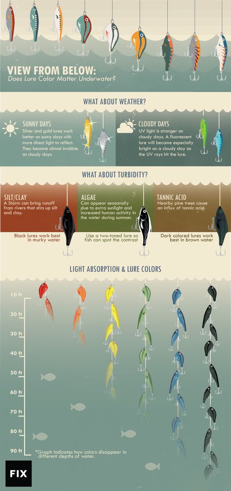 So you're thinking about going fishing. This might help. - Album on Imgur Pesca In Mare, Saltwater Fishing Lures, Bass Fishing Tips, Walleye Fishing, Fishing Rigs, Fishing Techniques, Crappie Fishing, Types Of Fish, Freshwater Fishing