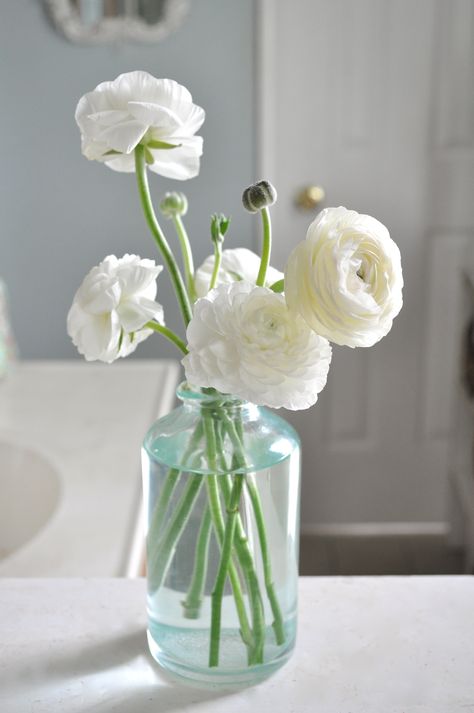 white ranunculus Ranunculus Butterfly, Ranunculus Arrangement, Ranunculus Garden, Ranunculus Wedding, Butterfly Ranunculus, Ranunculus Bouquet, White Ranunculus, Ranunculus Flowers, Wedding Table Flowers