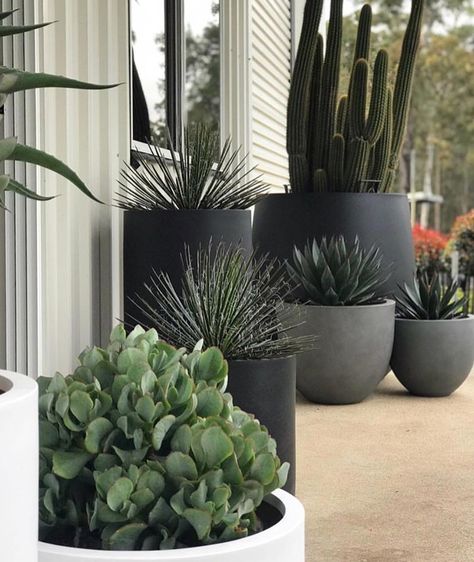 Flower Animated, Balcony Planters, Potted Plants Outdoor, Balcony Plants, Garden Types, Outdoor Pots, Cactus Garden, Concrete Planters, Apartment Garden