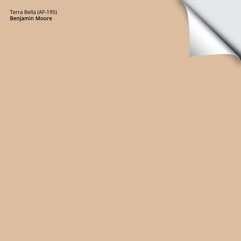 Terra Bella (AF-195): 9"x14.75" Peach Paint, Tan Paint, Paint Sample, Powder Paint, Leather Paint, Paint Samples, Bedroom Paint, Paint Colors For Home, Benjamin Moore