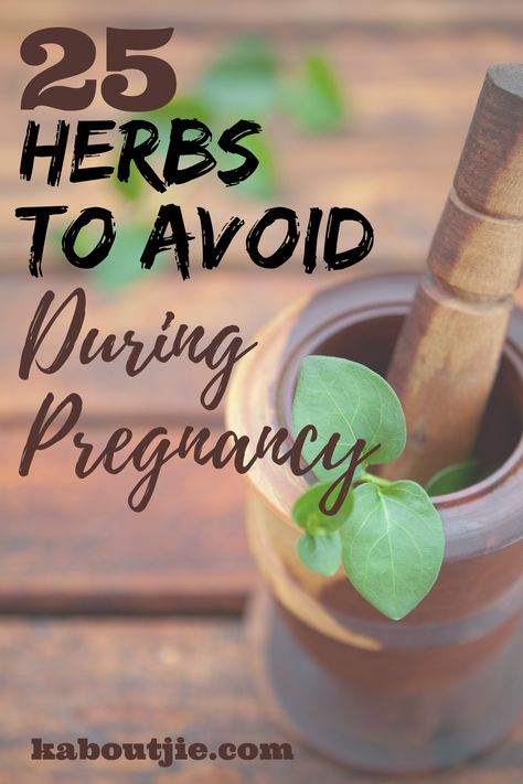 Herbs For Birth Control, Herbs For Morning Sickness, Natural Pregnancy Tips, Natural Remedies For Hives, Herbs For Pregnancy, Herbs For Pregnant Women, Herbs To Get Pregnant, Pregnancy Herbs, Herbs Safe For Pregnancy