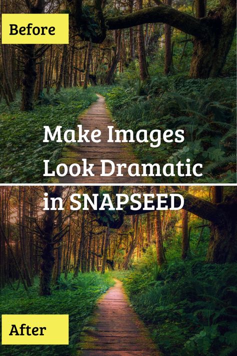 Snapseed Photo Editing Tutorials, Cellphone Photography, Snapseed Presets, Snapseed Photo Editing, Letter Art Photography, Snapseed Tutorial, Iphone Camera Tricks, Dodge And Burn, Vintage Filter