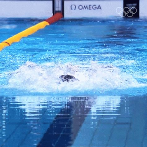 Swimming Michael Phelps GIF - Swimming Michael Phelps Olympics - Discover & Share GIFs Michael Phelps Body, Diving Gif, Michael Phelps Swimming, Swimming Gif, Swimming Videos, Michael Phelps, Animated Gif, Cool Gifs, Diving