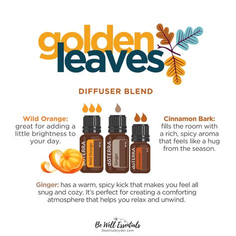 🍁Get into the fall spirit with this Golden Leaves diffuser blend. It’s like wrapping yourself in a cozy blanket on a cool autumn day.  Just pop this blend into your diffuser and let the scent turn your space into a fall haven. It’s the perfect way to enjoy the season and relax at the same time. Wild Orange Essential Oil, Cool Autumn, Ginger Essential Oil, Spa Business, Diffuser Blend, Cinnamon Bark, Wild Orange, Golden Leaves, Diffuser Blends