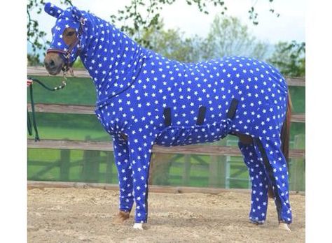 Rug up your horse or find it a oniesie because it's getting very cold here in Melbourne! Horse Onesie, Christmas Horses, Funny Horses, Horse Rugs, All About Horses, Horse Owner, Horse Blankets, Horse Training, Show Horses