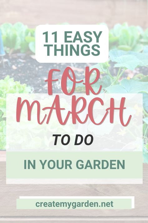 Seeds To Start In March, March Checklist, Garden Checklist, Summer Harvest, Growing Greens, Starting Seeds Indoors, Soil Testing, Garden Planner, Starting A Garden