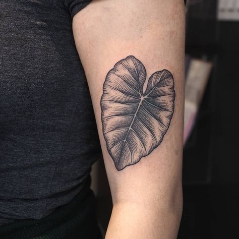 alocasia for C. thank you! clients who literally fall asleep are one in a hundred and it's kinda the best to have one . #torontotattoo… Taro Leaf Tattoo, Taro Plant Tattoo, Alocasia Plant Tattoo, Big Leaf Tattoo, Alocasia Tattoo, Tattoo Healing Stages, Plant Sleeve, After Tattoo, Plant Tattoos