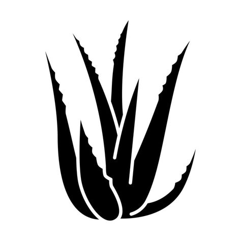 Aloe vera black glyph icon. Succulent growing sprouts. Cactus leaves and thorns. Medicinal herb for skincare. Decorative plant. Silhouette symbol on white space. Vector isolated illustration Aloe Illustration, Aloe Vera Illustration, Aloe Vera Tattoo, Cactus Symbol, Plants Silhouette, Tyre Ideas, Cactus Icon, Succulent Growing, Plant Silhouette