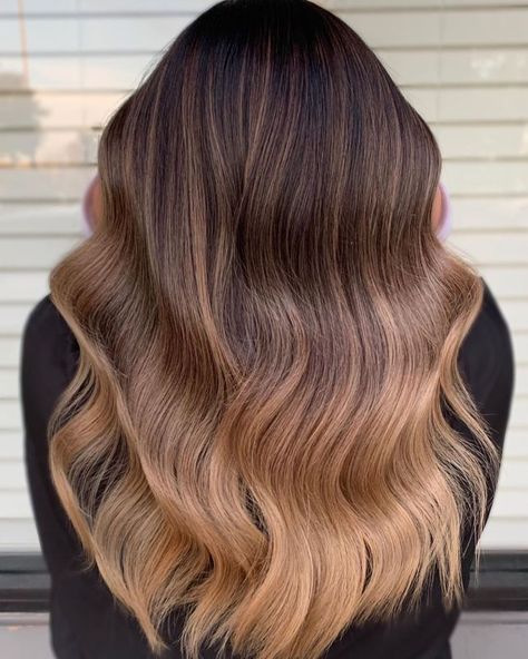 Brown to Caramel Ombre Effect Shoulder Length Ombre Hair, Light Caramel Hair, Caramel Ombre Hair, Light Brown Ombre, Dark Ombre Hair, Brown And Blonde, Brown To Blonde Ombre, Pink Ombre Hair, Red Ombre Hair