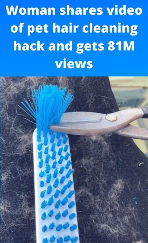 Pet Hair Cleaning Hacks, Dog Hair Cleaning, Dog Hair Removal, Hair Cleaning, Cleaning Pet Hair, Start Cleaning, Dog Brushing, Clean Hair, Scrub Brush