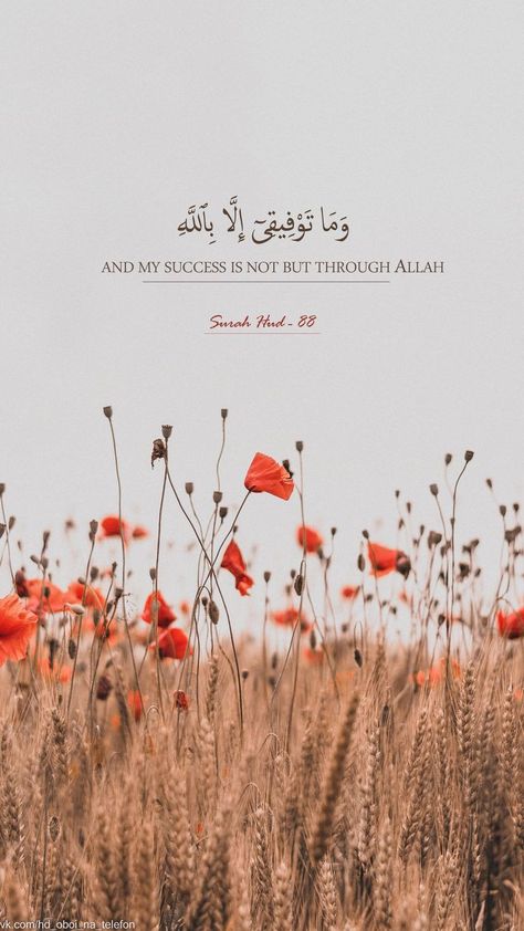 Quran Quotes In English, Coran Quotes, Quranic Quotes, Quran In English, One Word Instagram Captions, Quran Wallpaper, Muhammad Quotes, Ayat Quran, Online Quran