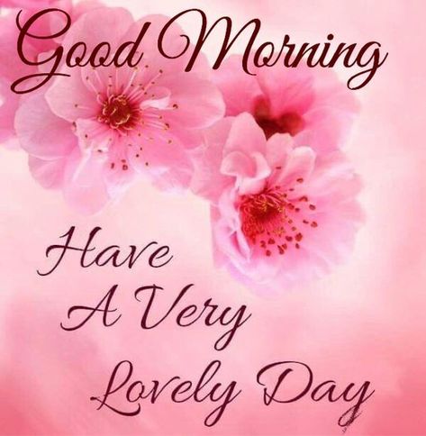 Have A Very Lovely Day days floral good morning morning images good morning greetings daily morning quotes Good Morning Wishes Friends, Good Morning Tuesday, God Natt, Good Morning Funny Pictures, Good Morning Roses, Good Morning Wallpaper, Good Morning Beautiful Images, Have A Lovely Day, Good Morning Cards