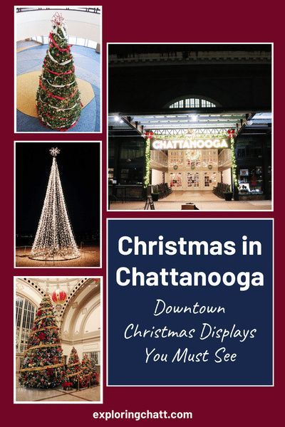 Christmas In Chattanooga Tennessee, Chattanooga Christmas, Coolidge Park Chattanooga, Snoopers Rock Chattanooga, Chattanooga Photo Spots, Bluff View Art District Chattanooga, Tennessee Christmas, Snowflake Lights, Downtown Chattanooga