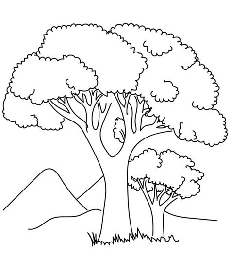 Top 25 Farm Coloring Pages For Your Little Ones Farm Coloring Pages, Tree Coloring, Leaf Coloring Page, Christmas Tree Coloring Page, Preschool Coloring Pages, Picture Tree, Coloring Pages Inspirational, Unique Coloring Pages, Tree Coloring Page