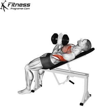 Bench Press 12 Incline Dumbbell Press, Best Chest Exercises, Dumbbell Back Workout, Gym Workout Apps, Chest Workout For Men, Workout Program Gym, Chest Exercises, Best Chest Workout, Incline Bench