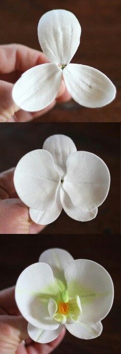 Sugar Paste Flowers, Sugar Flowers Tutorial, Fondant Flower Tutorial, Diy Flores, Icing Flowers, Fleurs Diy, Gum Paste Flowers, Fondant Tutorial, Fondant Decorations