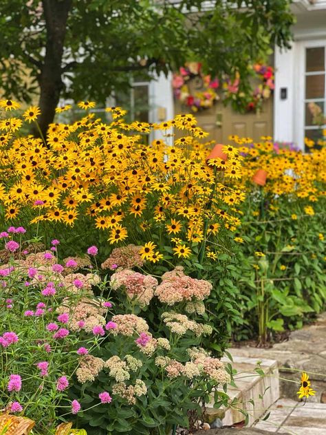 Annual Vs Perennial, Summer Blooming Flowers, Design Garden Ideas, Easy Perennials, Perennial Gardens, Late Summer Flowers, English Gardens, Potager Garden, Zone 5