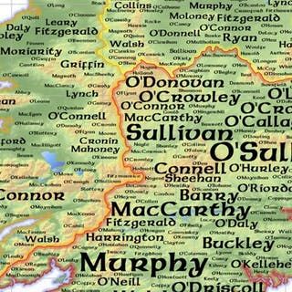 Tracing Your Irish Roots: Great Irish Family Names and their Coats of Arms Irish Surnames Family Names Ireland, Irish Last Names, Irish Wedding Traditions, Irish Surnames, Irish Genealogy, Irish Coat Of Arms, Ireland History, Irish Ancestry, Ancestry Family Tree