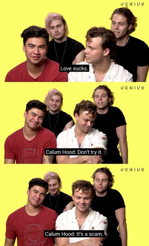 This was the only thing he said in the whole video😂💀 5sos Wallpaper Lockscreen, Lockscreen Funny, Summer Meme, Calum 5sos, 5sos Preferences, 5sos Funny, 5sos Wallpaper, 5sos Memes, 5sos Pictures