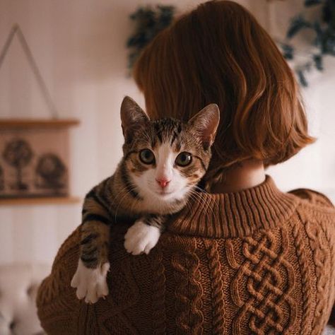 jerianie // on hiatus (@jerianie) • Instagram photos and videos Cat Photography Poses, Photoshoot With Cats, Cat Photoshoot Ideas, Cat Family Portrait, Cat Photoshoot, Animal Photoshoot, Pet People, Cat Wedding, On Hiatus