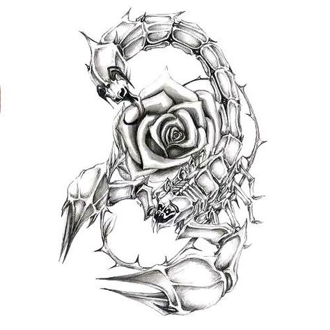 Girly Scorpion With Rose Tattoo Design - Cool black and gray drawing scorpion with rose. Scorpio Zodiac Tattoos, Scorpio Art, Airbrush Tattoo, Scorpio Tattoo, Scorpion Tattoo, Zodiac Tattoos, Sunflower Tattoos, Zodiac Tattoo, Rose Tattoo Design