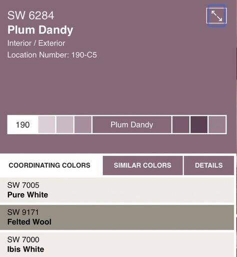 plum dandy on top and alabaster on bottom. alabaster through out first floor ?? Plum Dandy Sherwin Williams, Purple Accent Wall, Plum Paint, Zyla Colors, Tiny House Camper, Purple Accents, Craftsman Style, Coordinating Colors, Wall Color